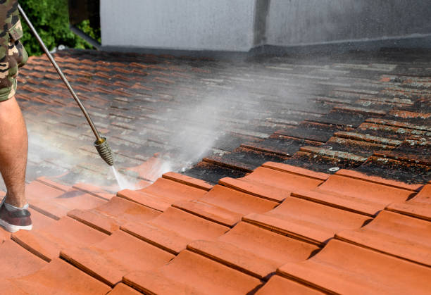 Best Pressure Washing Company Near Me  in Dansville, NY