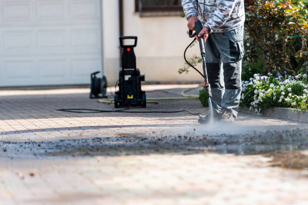  Dansville, NY Pressure Washing Pros