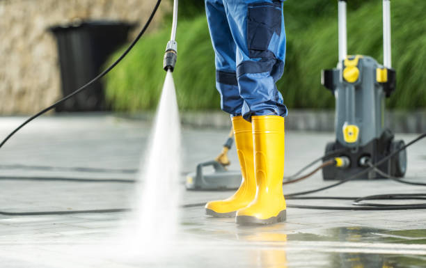 Best Deck Pressure Washing  in Dansville, NY