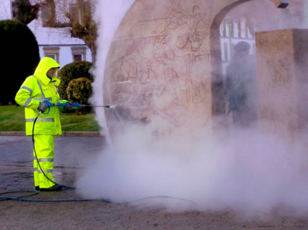 Best Pressure Washing Company Near Me  in Dansville, NY