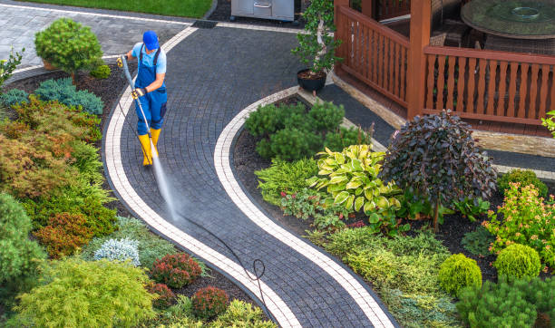Best Best Pressure Washing Companies  in Dansville, NY