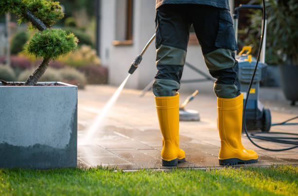 Best Pressure Washing Siding  in Dansville, NY